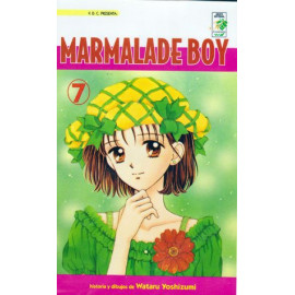 Manga Marmalade Boy 07