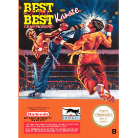Best of the Best championship Karate NES A