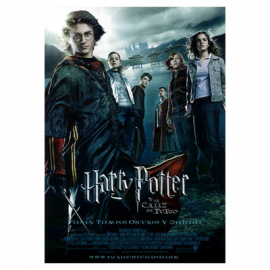Harry Potter Y el Caliz de Fuego DVD (SP)