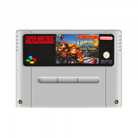 Donkey Kong Country 3 Dixie Kong's Double Trouble! SNES