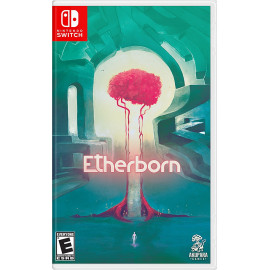 Etherborn Switch (USA)