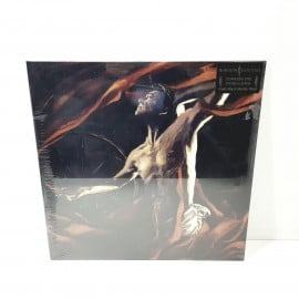 Vinilo Horizon Ignited 12"