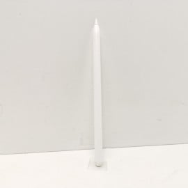 Apple Pencil 2 Generacion (A2051)