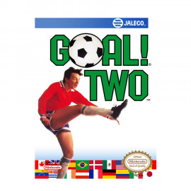 Goal 2 NES A